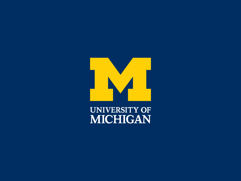 U of Michigan - Linguatronics Language Teaching Solutions